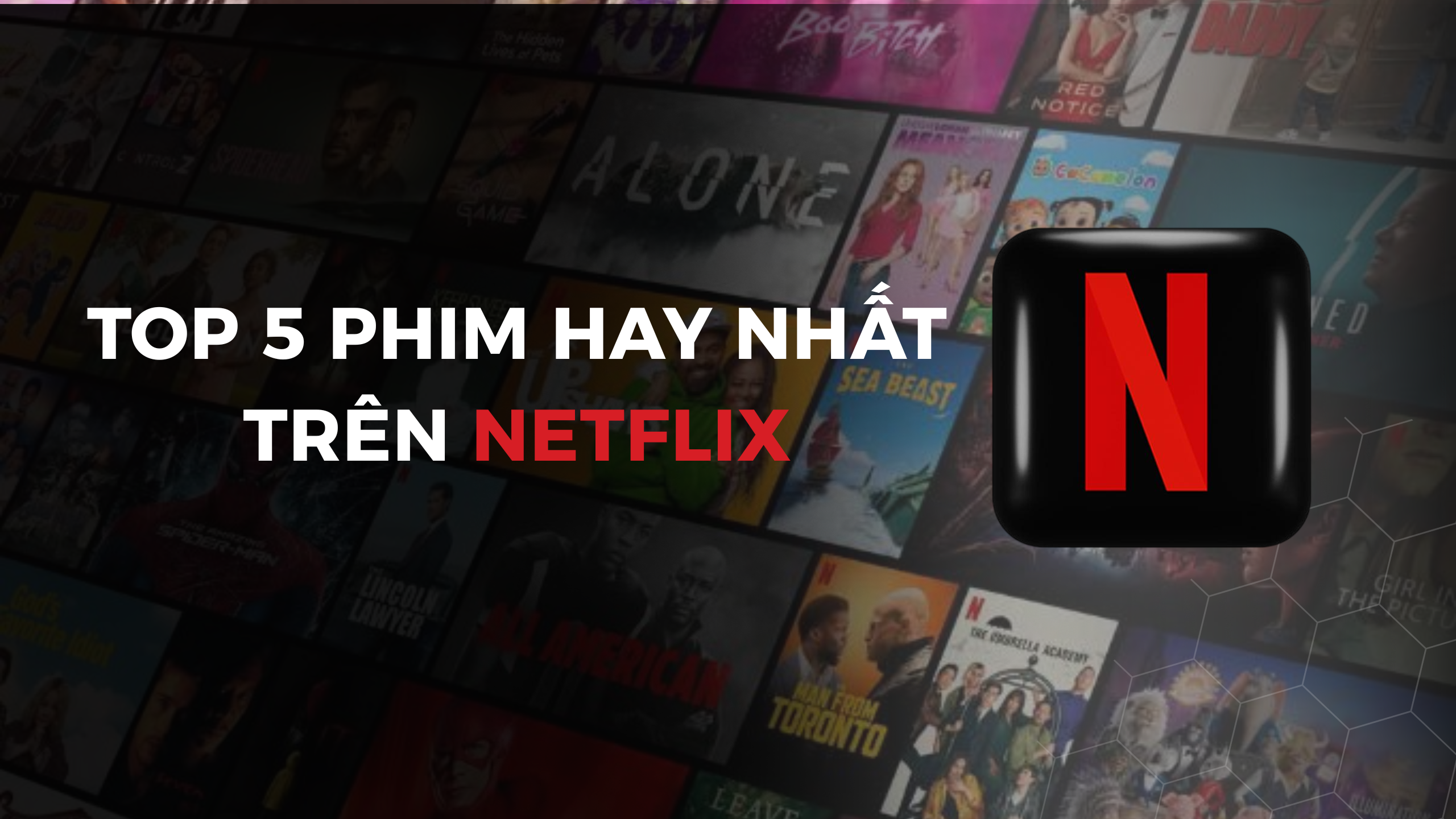 Top 5 phim hay nhất trên Netflix 2025 bạn không nên bỏ lỡ