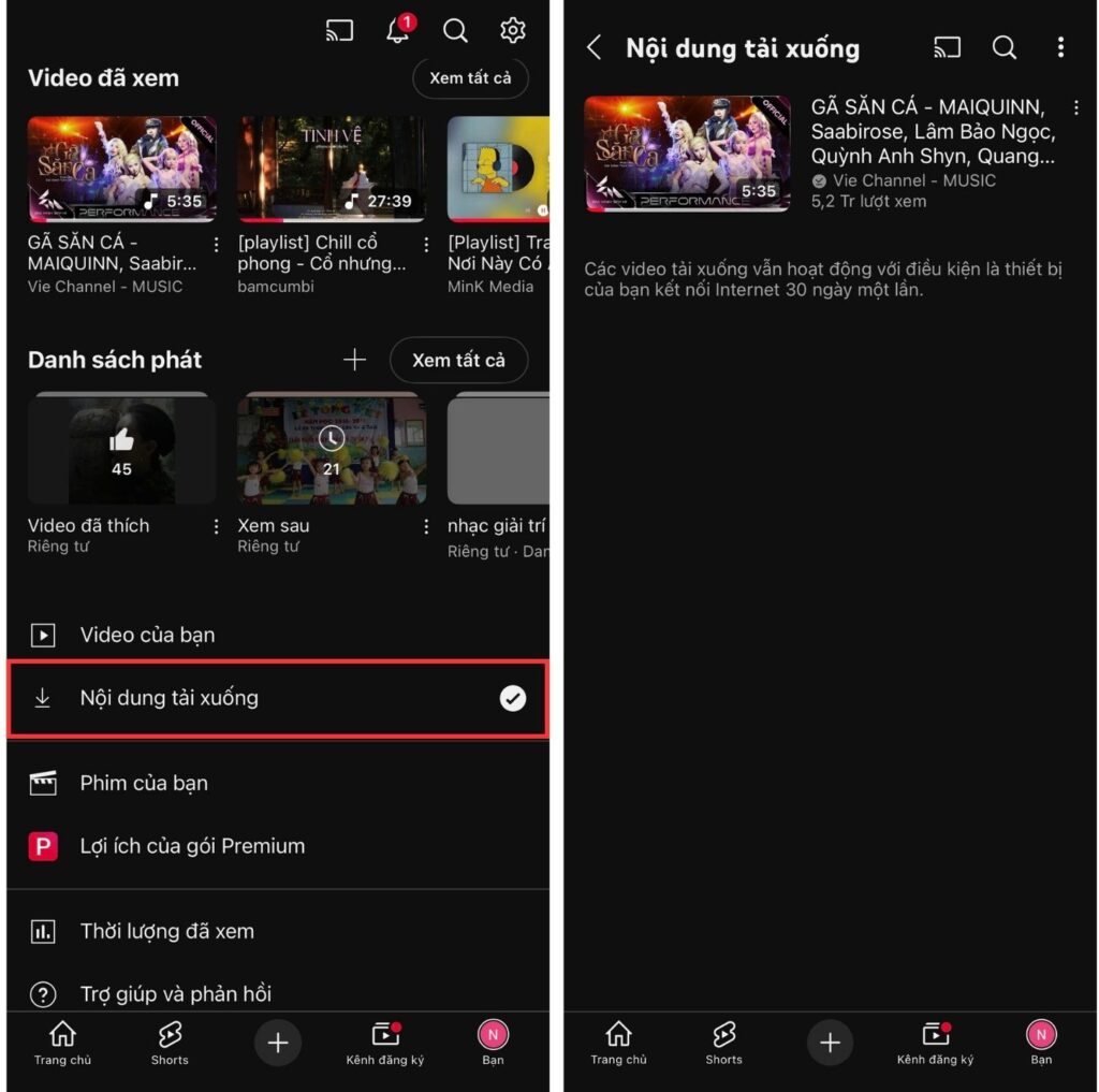 nghe offline Youtube 2