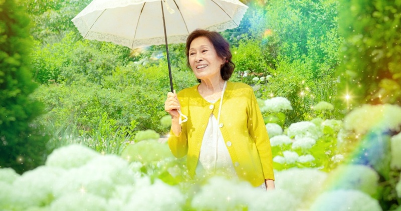 series phim hàn hay trên netflix 2025