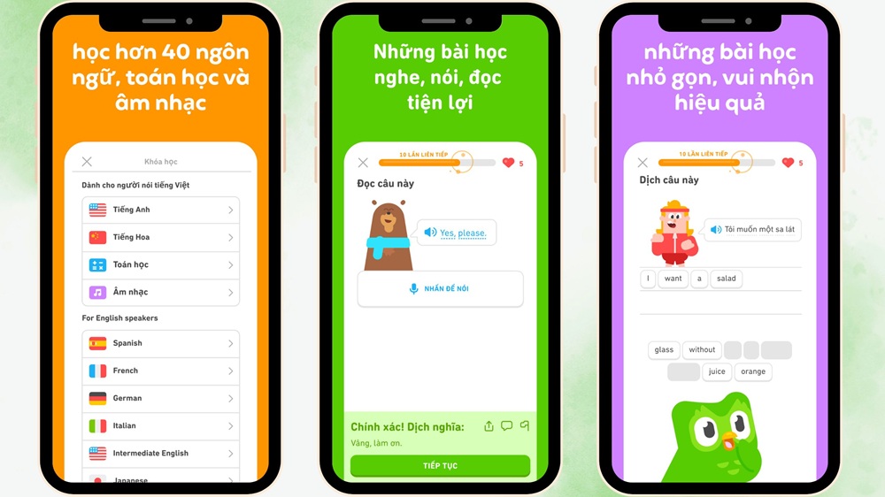 nâng cấp chính chủ Duolingo Super